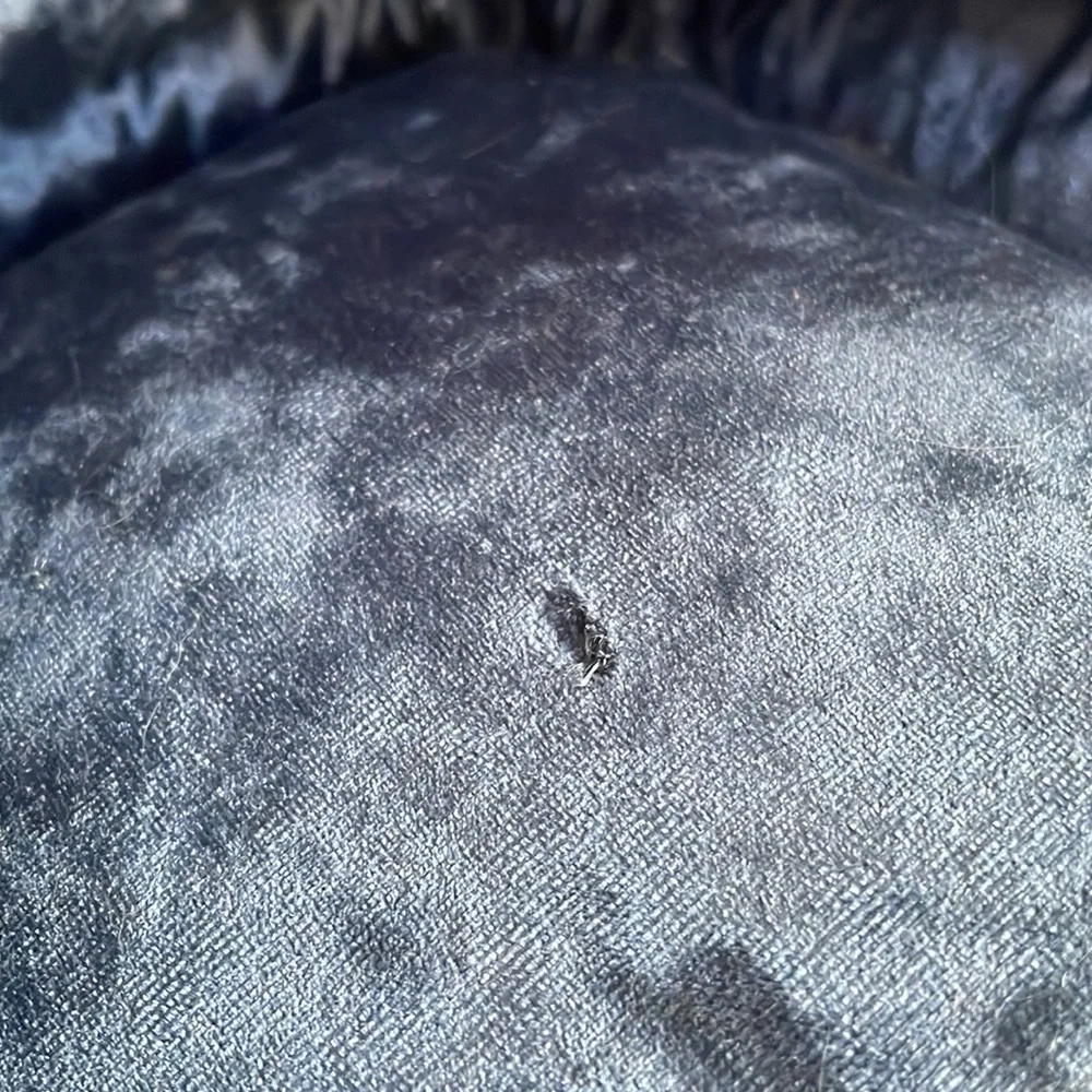 Blue Velvet Cat Cave
